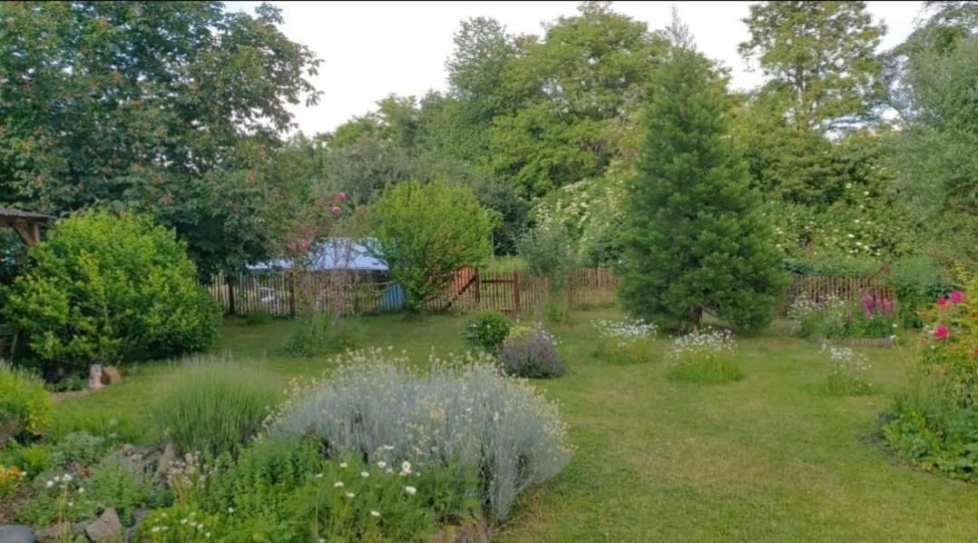 Orangerie Zimmer Gehaichnishof 7Born Maring-Noviand Exteriör bild