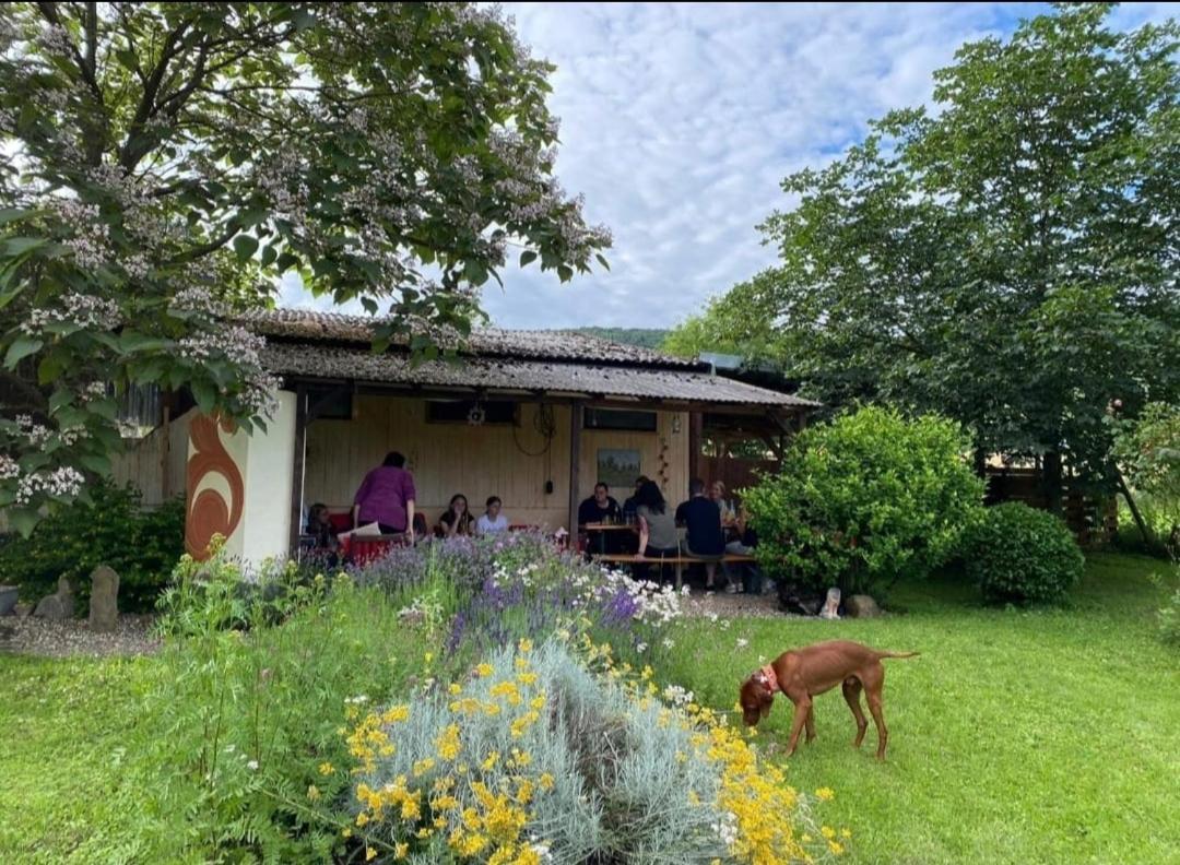 Orangerie Zimmer Gehaichnishof 7Born Maring-Noviand Exteriör bild