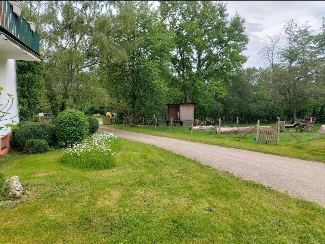Orangerie Zimmer Gehaichnishof 7Born Maring-Noviand Exteriör bild